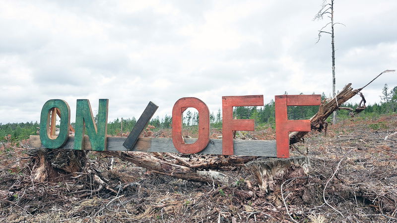 Verket ”Switch” av Ylva
Westerlund kommenterar det faktum att skogsavverkningen antingen är av eller på. Foto: Ylva Westerlund.