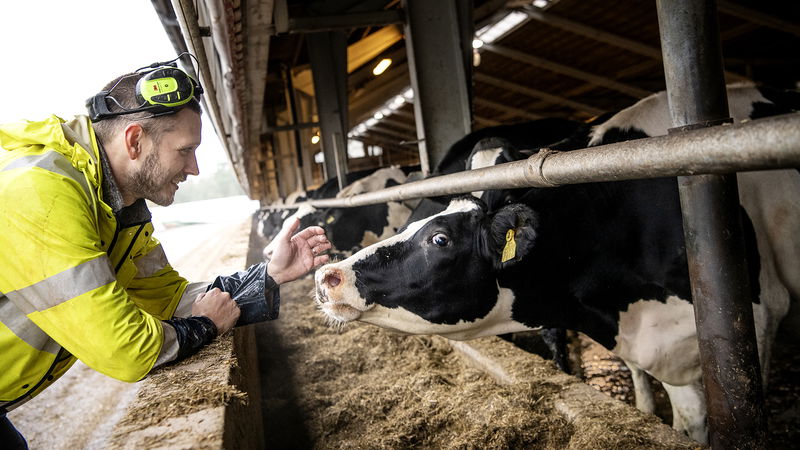 På Hagelsrums gård tillverkas biogas som levereras till en mack i Målilla via en nedgrävd pipeline. Foto: 