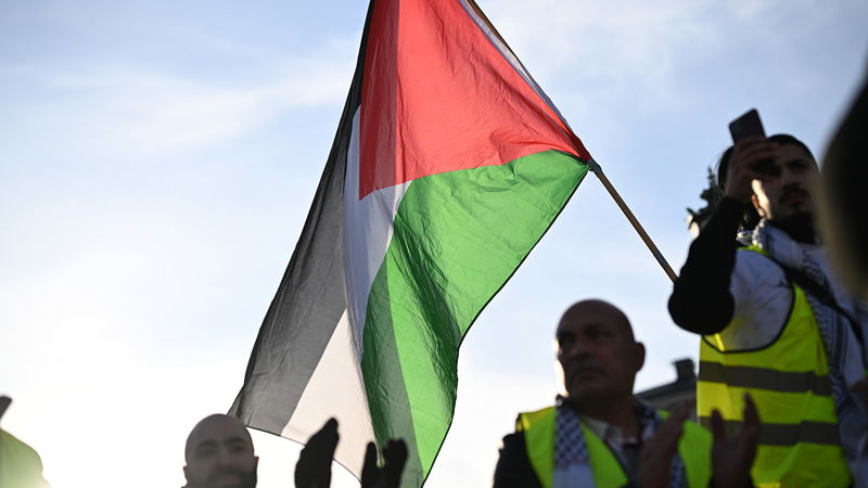 En palestinsk flagga vajar vid en demonstration på Gustav Adolfs torg i Göteborg. Foto: Björn Larsson Rosvall