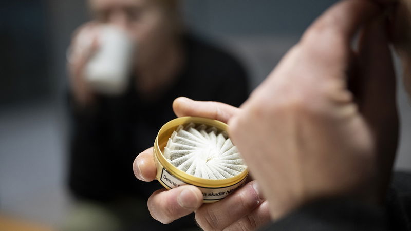 Bolaget No Woke AB ska enligt egen uppgift arbeta med försäljning, produktion och distribution av snus. Foto: Henrik Montgomery / TT.