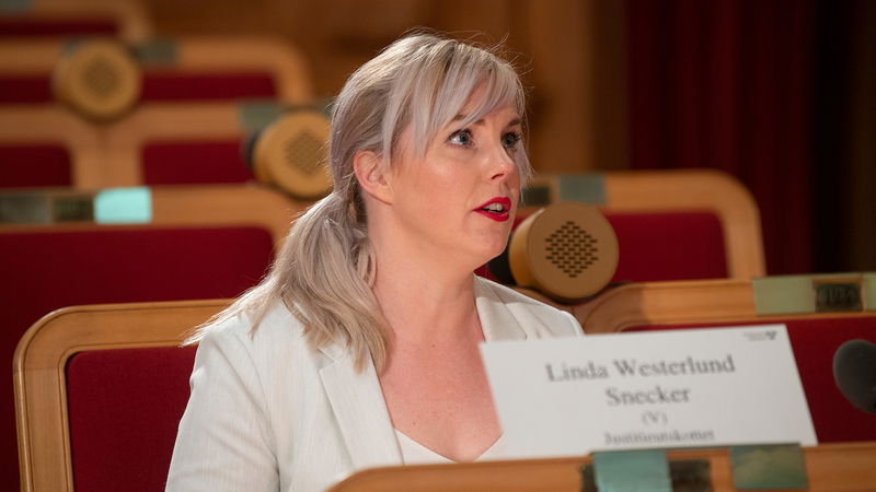 Vänsterpartiets Linda Westerlund Snecker (V) under justitieutskottets öppna utfrågning om våld i nära relationer. Foto: Fredrik Sandberg / TT.