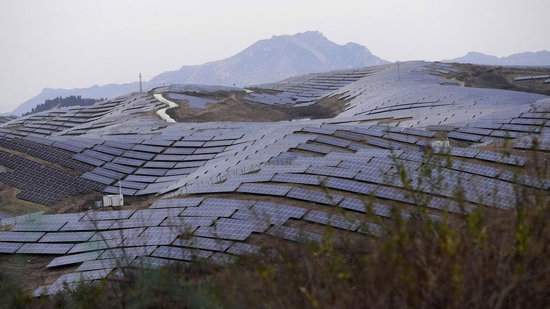 Kina ligger långt framför Europa i omställningen. Här en solpark utanför byn Donggou i norra Kina. Foto: Ng Han Guan/AP/TT.