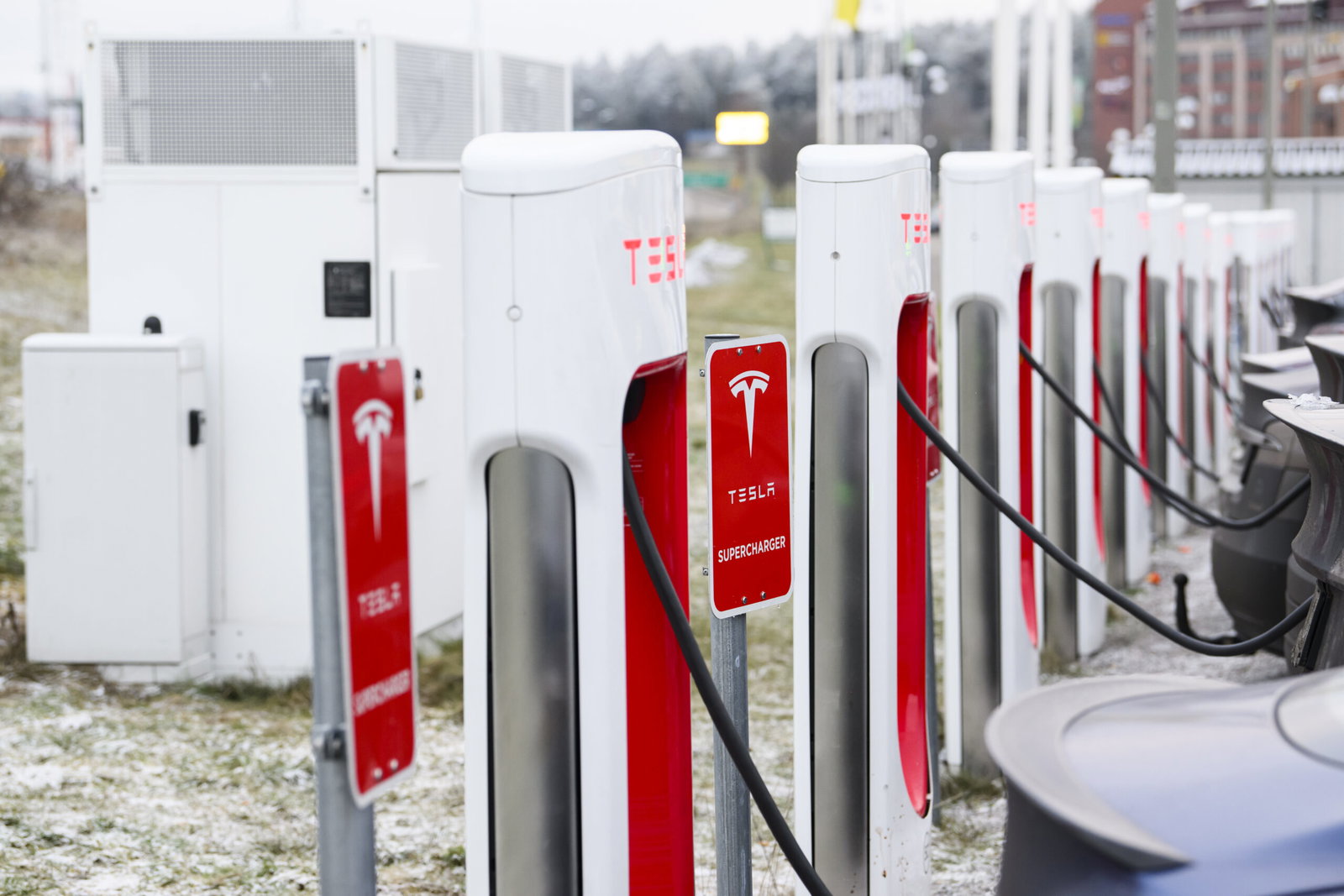 Vågar liberalerna ta striden mot Musk?