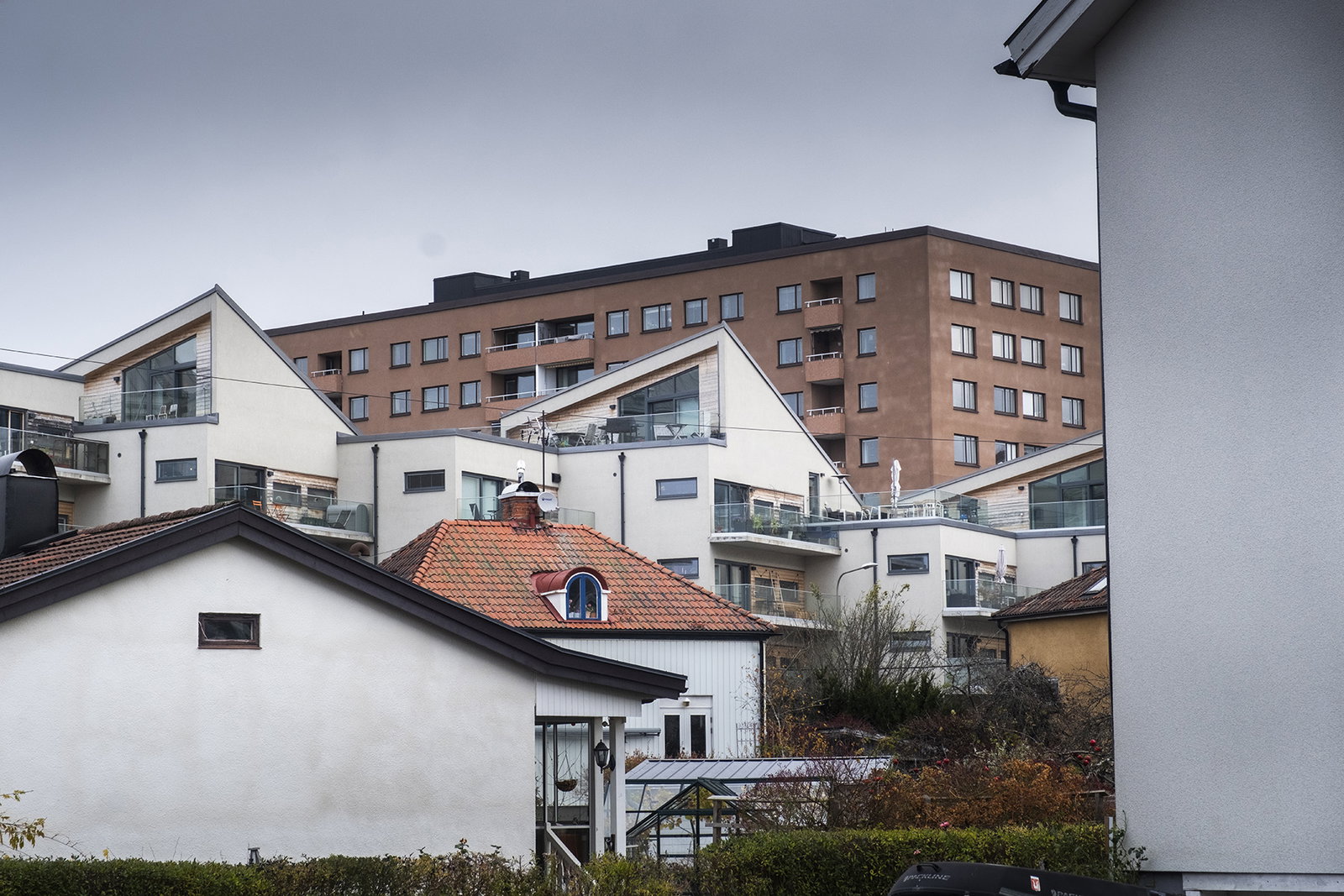 Svartkontrakt med svartmögel
