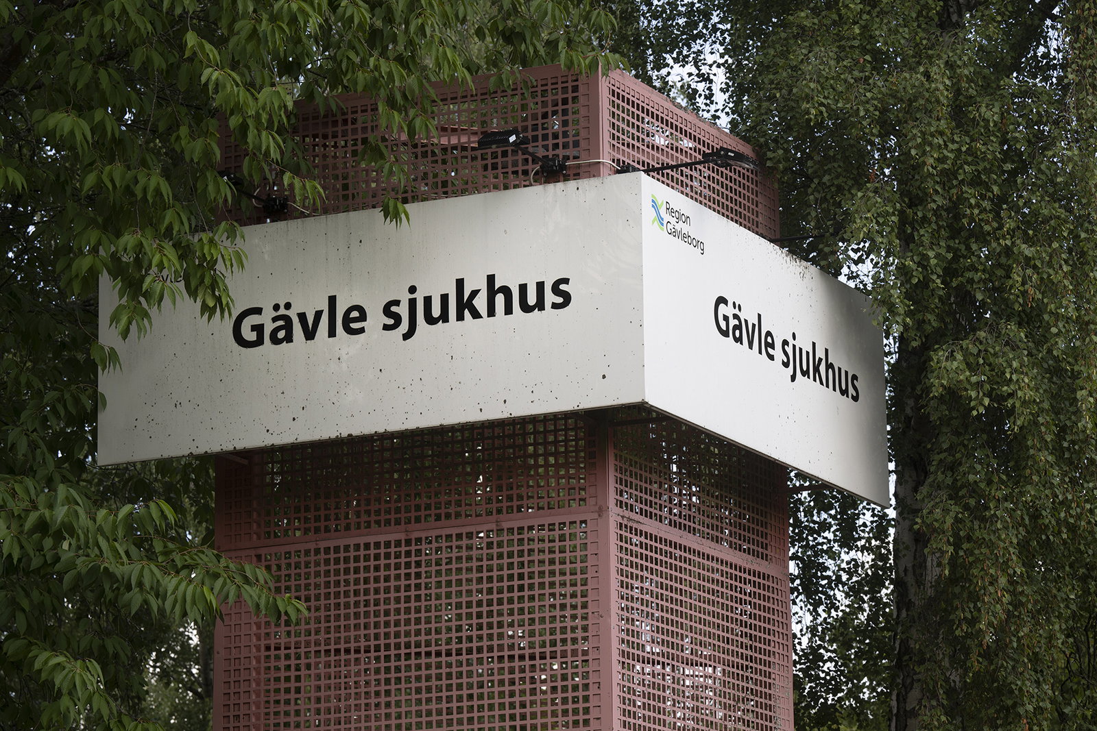 Vid pappas sjuksäng monteras vården ned i realtid