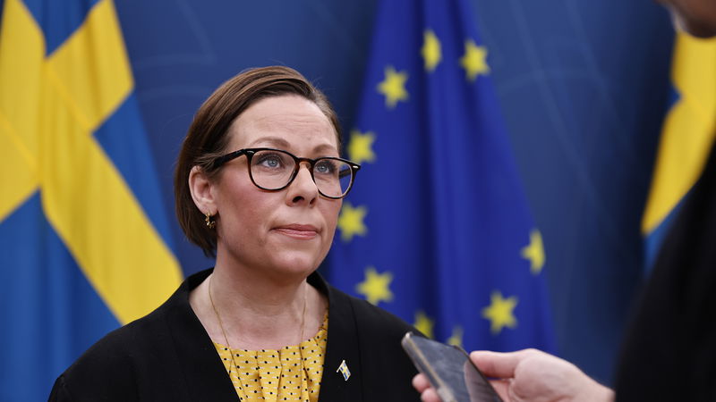Utrikesminister Maria Malmer Stenergard håller en pressträff med anledning av frigivningen av Joakim Medin. Foto: Caisa Rasmussen/TT.