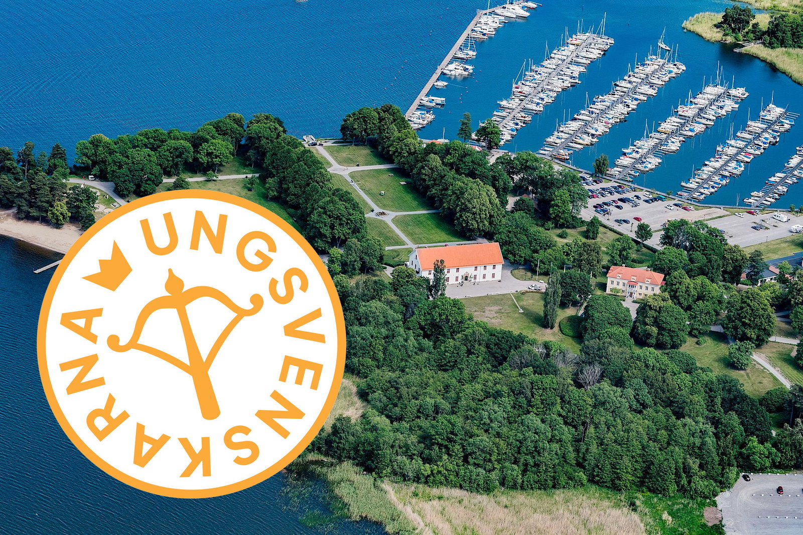 Bad nynazister att ”brainstorma” motioner – kan uteslutas ur SD