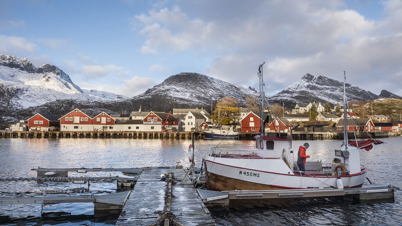 I norska Lofoten snuddar Golfströmmen vid kusten. Foto: Magnus Hjalmarson Neideman/SVD/TT.