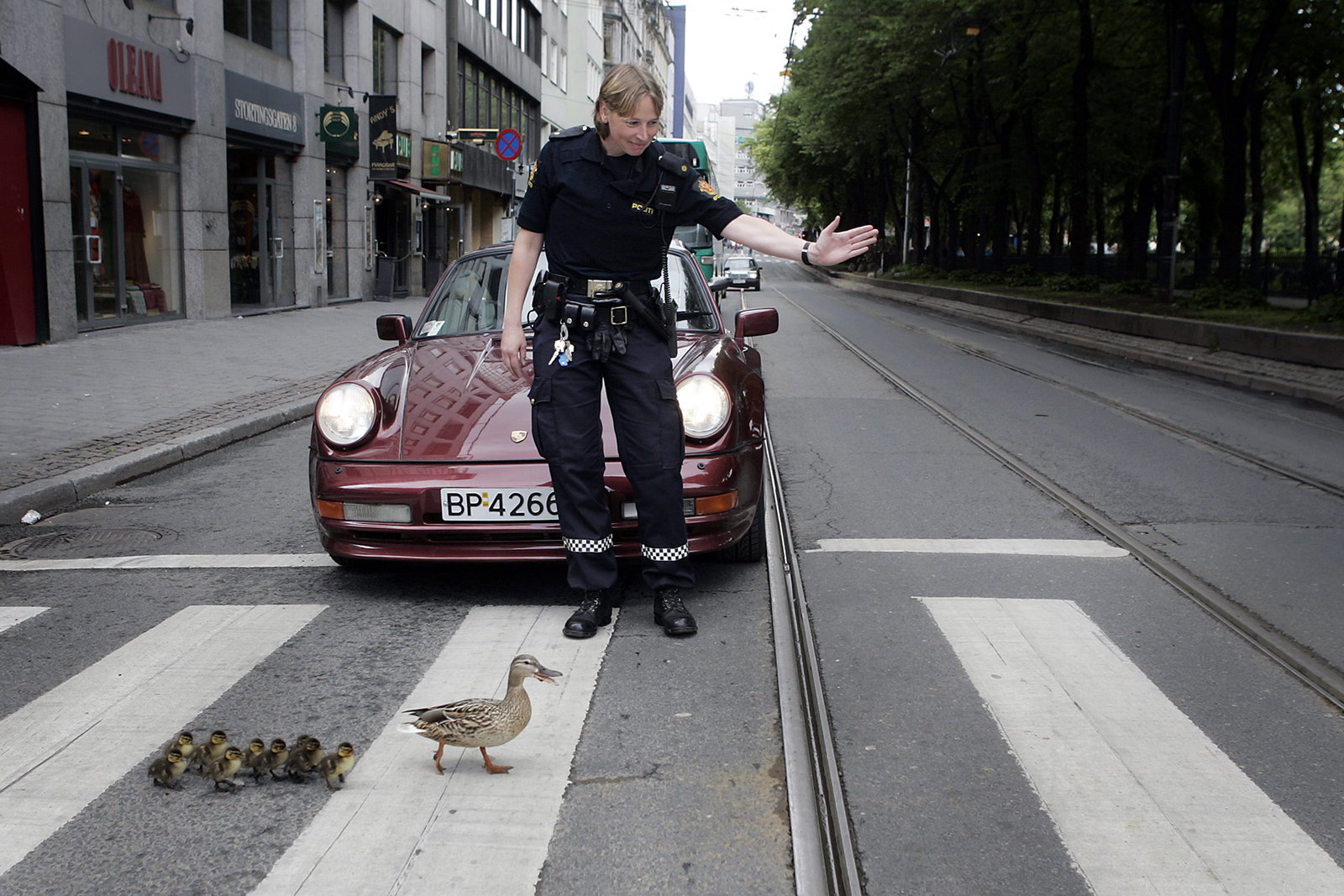 Hanne Kjöller går på pinnjakt