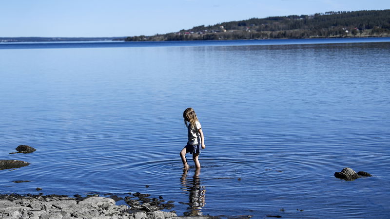 Storsjön hotas av kortsiktiga gruvetableringar, menar skribenterna. Foto: Pontus Lundahl/TT.