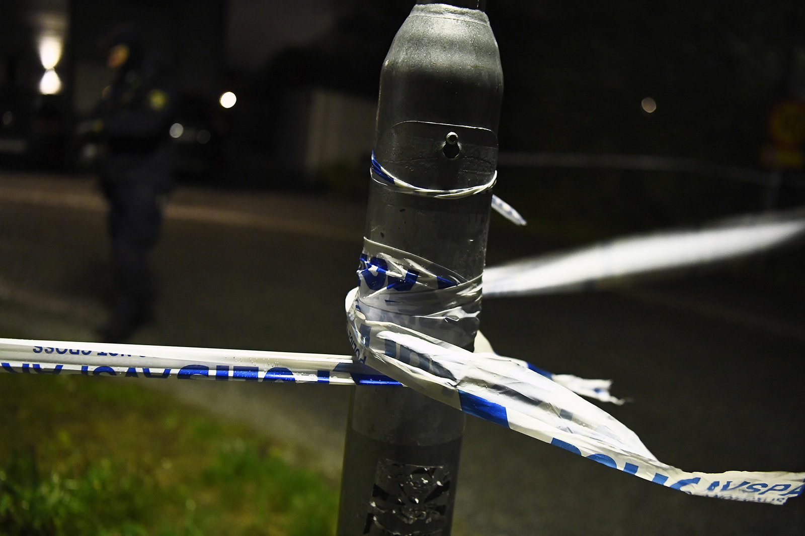 De kriminella småbröderna har en sak gemensamt