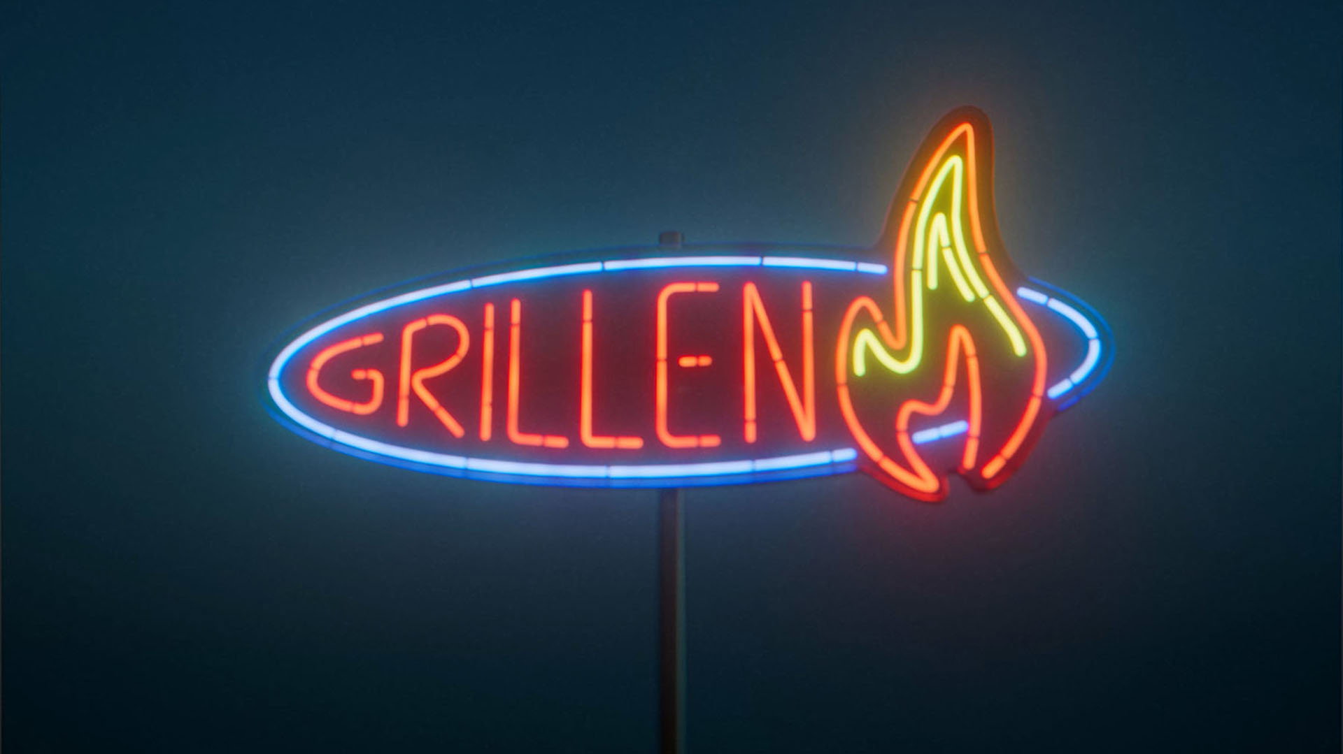 Grillen #10: Kan SD rädda klimatet?