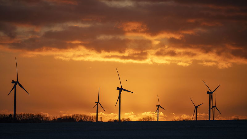 Snart 80-årige professorn emeritus Staffan Laestadius ser ljust på framtiden. Foto: Johan Nilsson/TT.