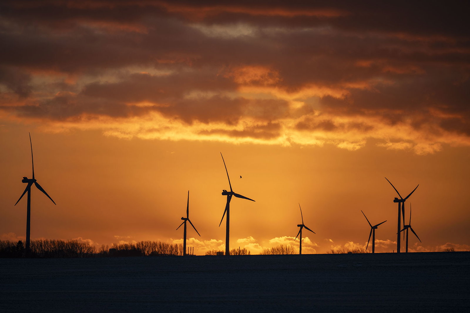 Den bortglömda professorn som löste klimatfrågan