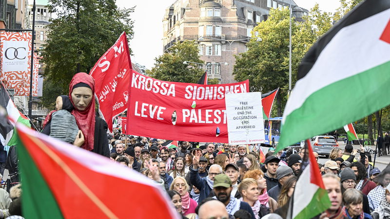 Demonstration för Palestina i centrala Stockholm. Foto: Henrik Montgomery/TT.