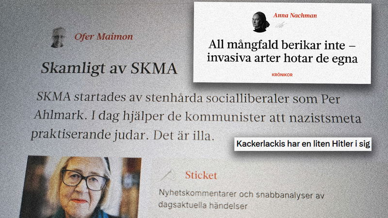 Kollage. Bild: Fokus / X.