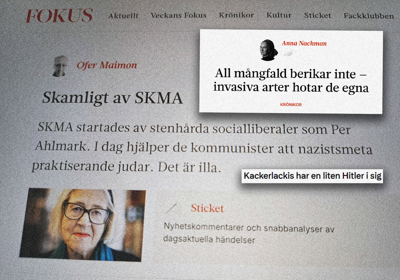 Varför kallar Fokus människor för ohyra?