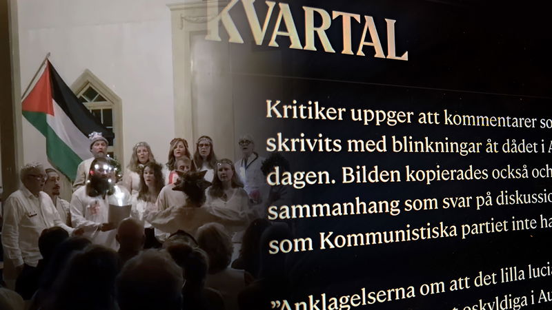 Bild: Delsbo solidaritetskör / Skärmavbild från Kvartal.