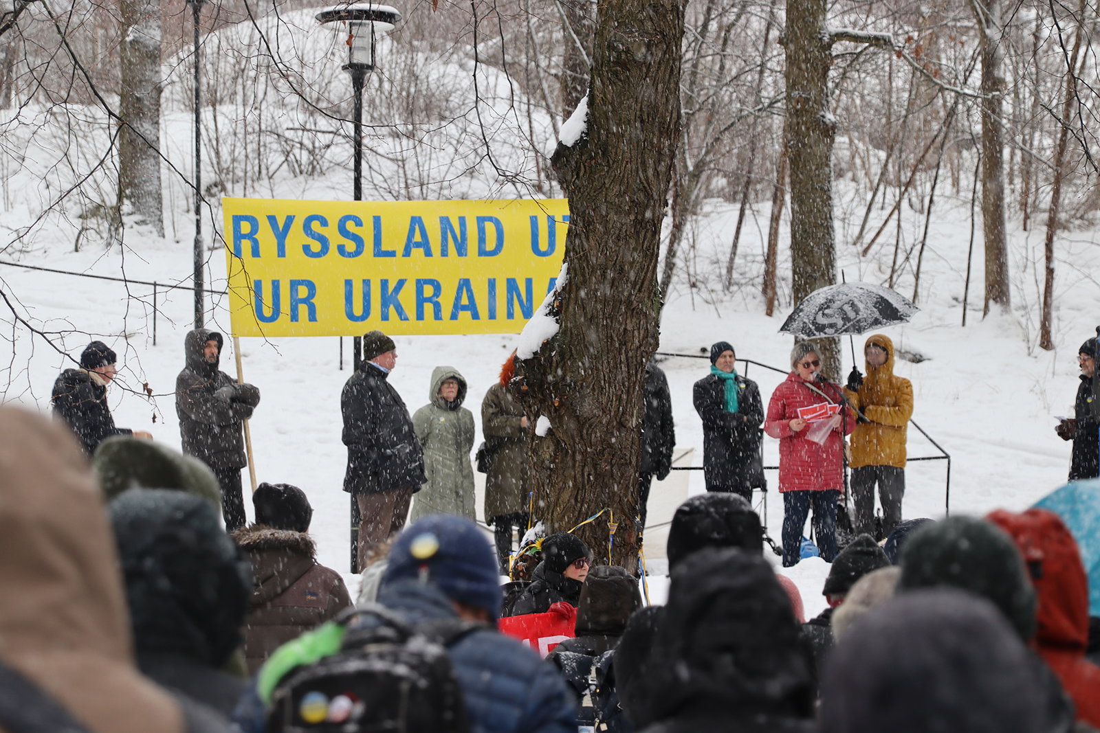 Aktivisterna som beväpnar Ukrainafronten