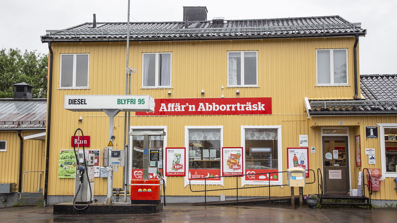 För många småkommuner har sammanslagningarna lett till minskad demokrati. Foto: Helena Landstedt/TT.