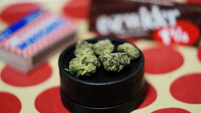 48 procent av Sveriges unga män ger tummen upp åt laglig cannabis 
– men bara fem procent av äldre kvinnor. Foto: Robert F. Bukaty/AP.