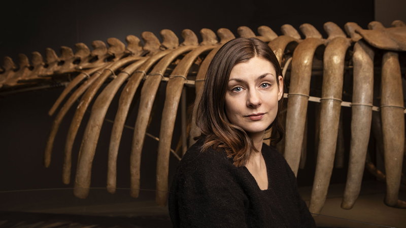 I ankornas duniga kroppar finns en sanning Turpeinen inte riktigt kommer åt: att evolutionen premierar empati, menar skribenten. Foto: Susanna Kekkonen