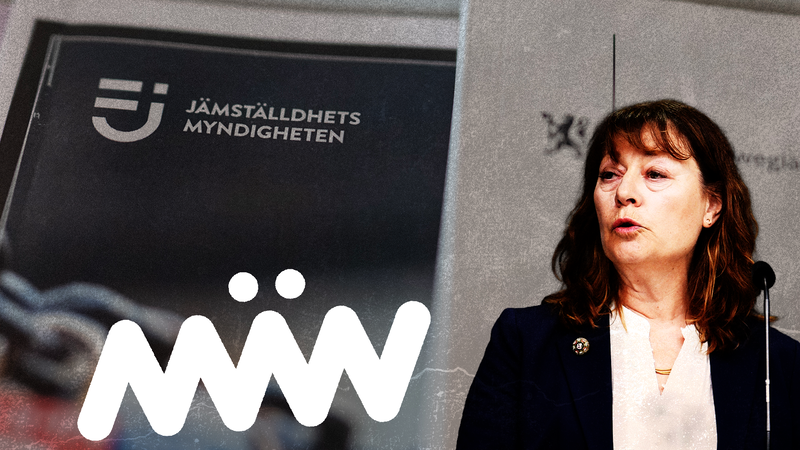 Jämställdhetsmyndigheten sköter utbetalningarna till Män, Lise Tamm, generaldirektör på myndigheten. Foto: Axel Narving/TT, Björn Larsson Rosvall/TT (montage).