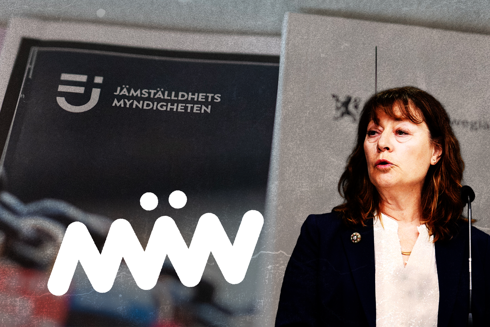 Föreningen Män återfår bidrag – bröt inte mot demokratiregler