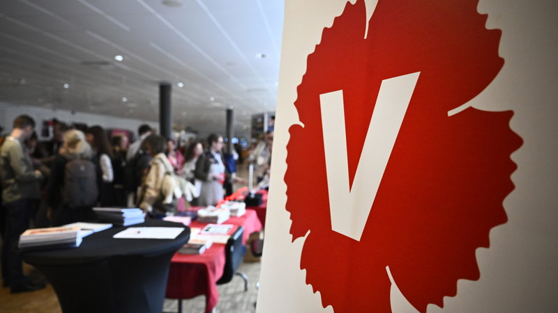 Vänsterpartiet är det riksdagsparti med bäst funktionsrättspolitik, enligt organisationen Funktionsrätt Sverige. Foto: Christine Olsson/TT