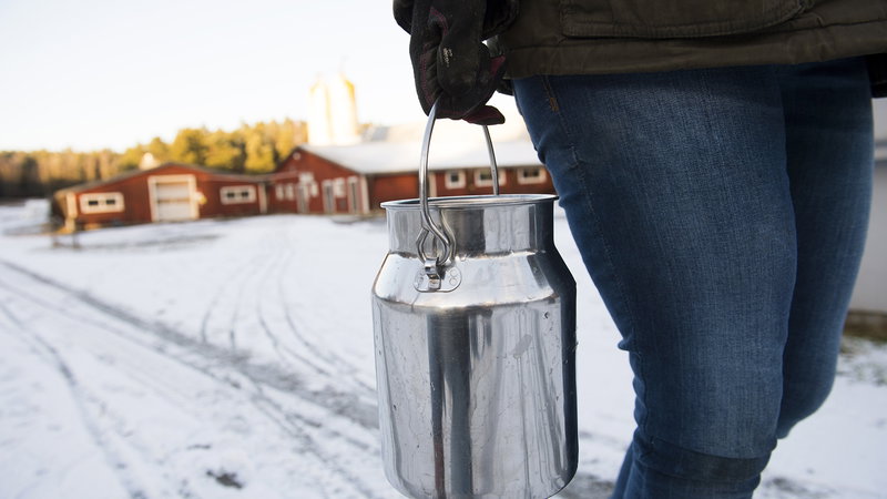 Att bo och arbeta på en och samma gård, långt från grannar i ett nytt land, kan vara en utsatt situation. Foto: Henrik Montgomery/TT.