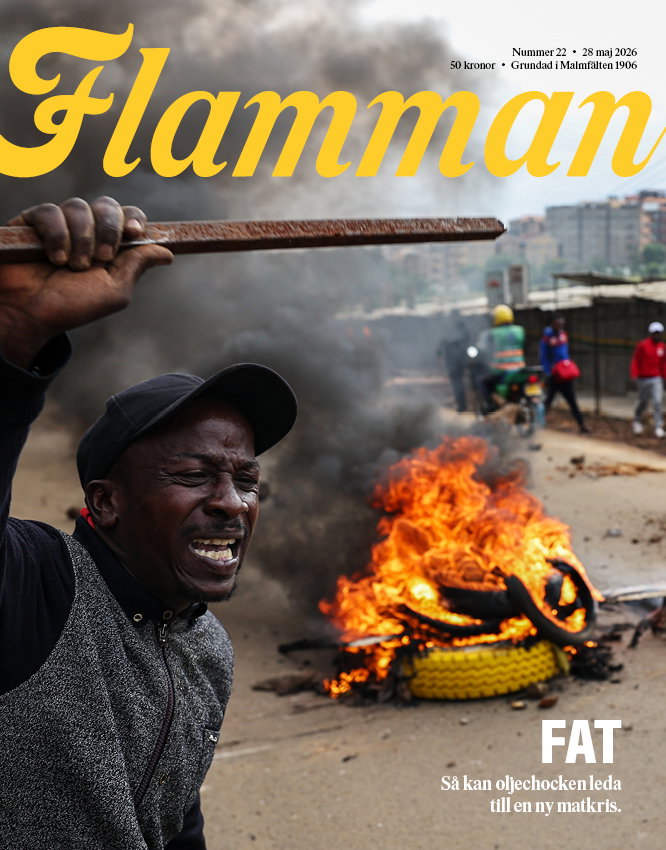 Flamman e-tidningen