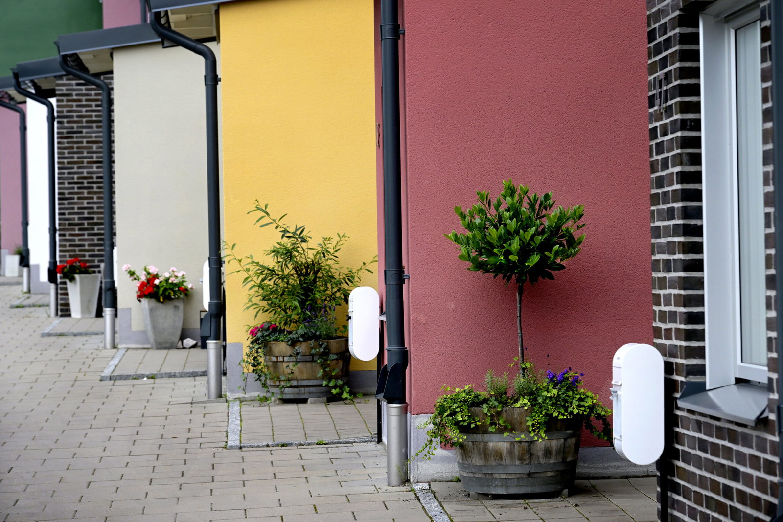 SD-knuten tankesmedja vilseleder om ”blandning”