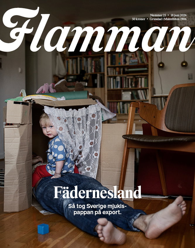 Flamman e-tidningen