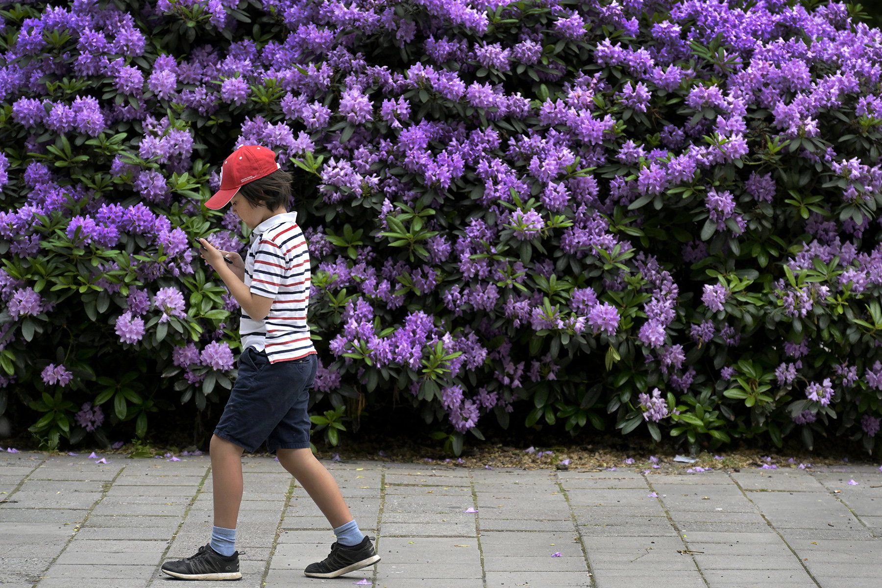 Föräldraövervakning allt vanligare: ”Blivit så vi gör”
