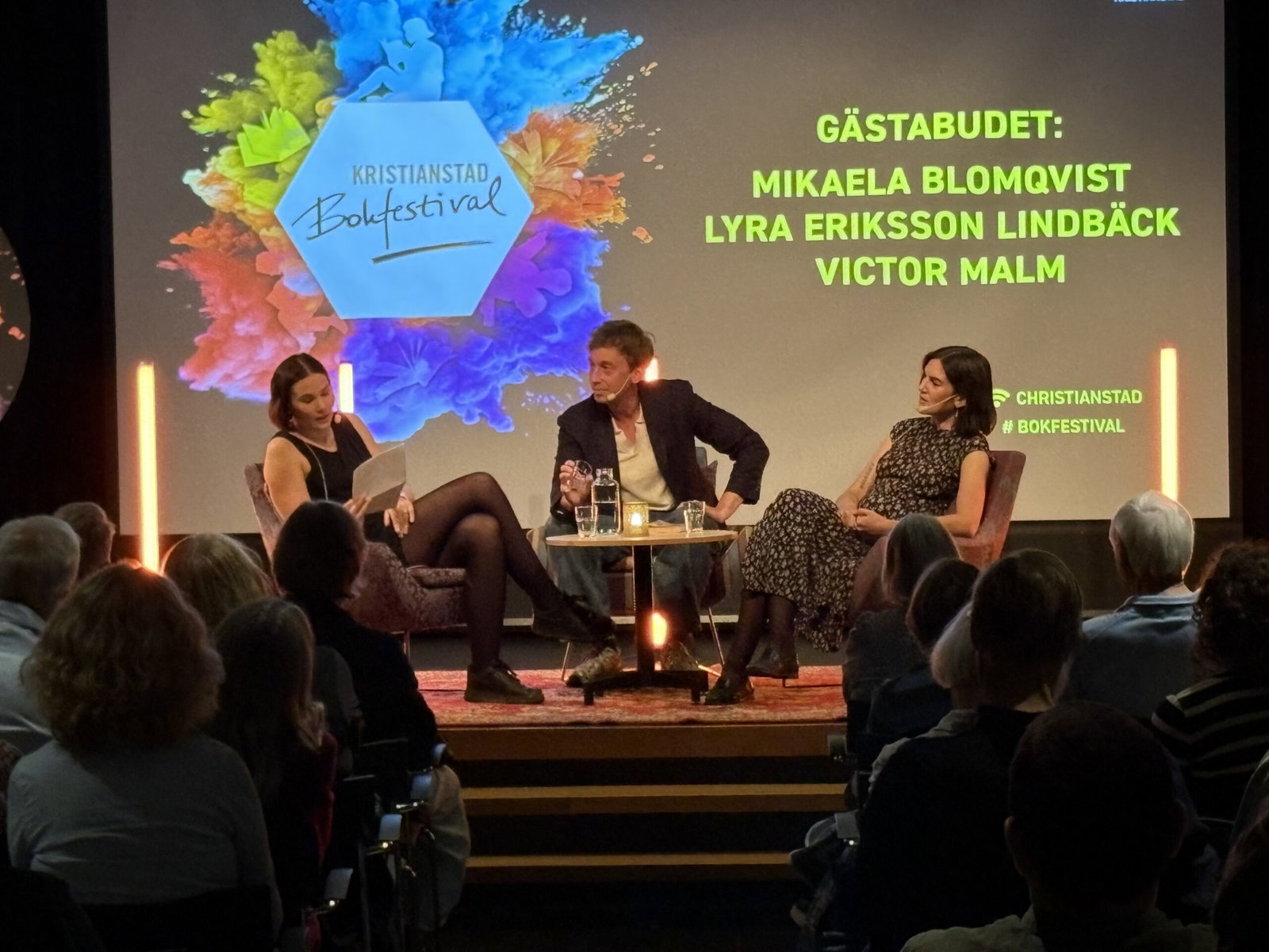 Är Birgitta Trotzig genial – eller bara kvalterrorist?