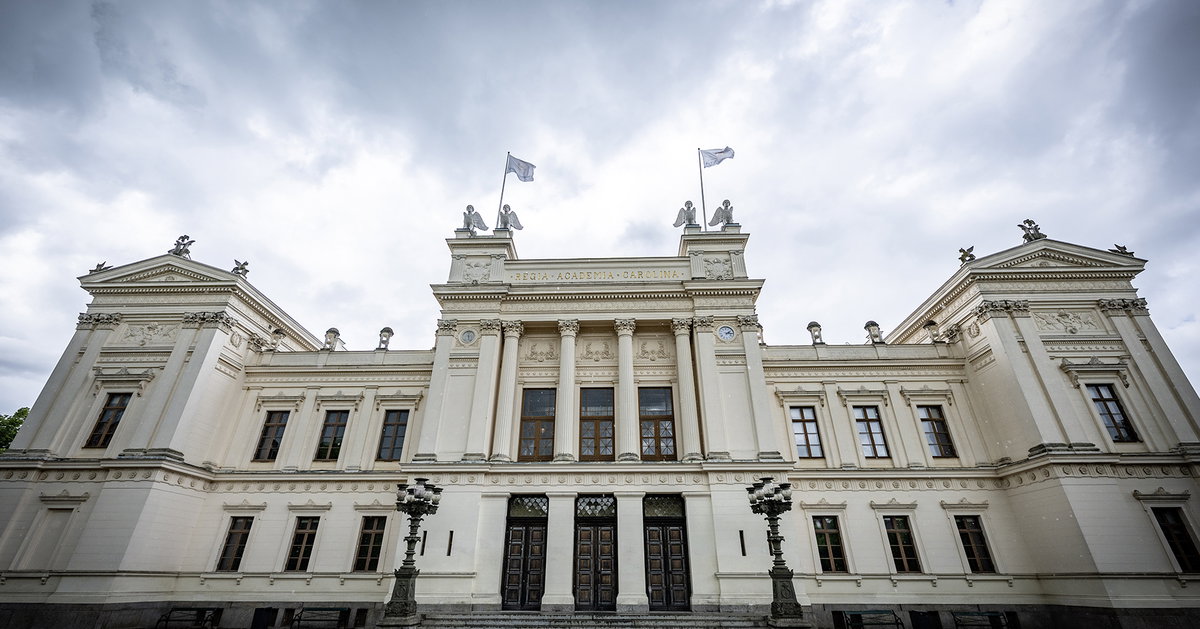 Regeringens utredare lät AI-tjänst fabricera utlåtande